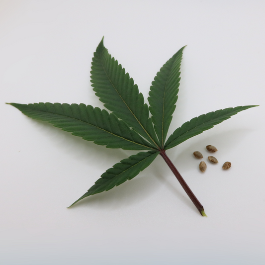 5-Strain Variety Collection